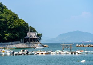 DSC07927