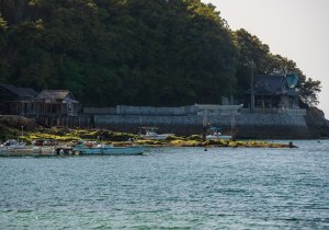 SBJ08497