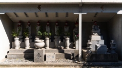 DSC02048