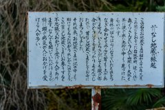 DSC03764
