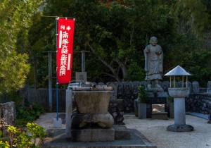 DSC03787