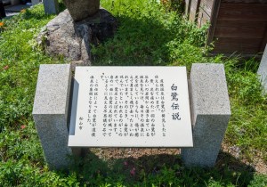 SBJ02418