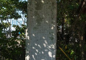 SBJ02975
