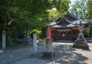 SBJ03358