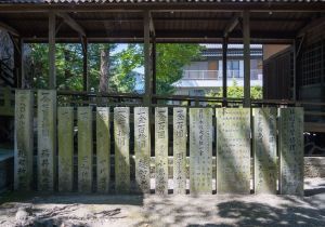 SBJ03370