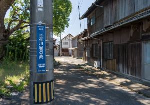 SBJ03387