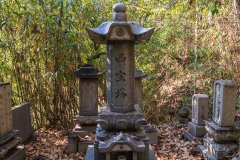 DSC07510-強化-NR