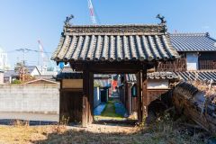 DSC07513-強化-NR