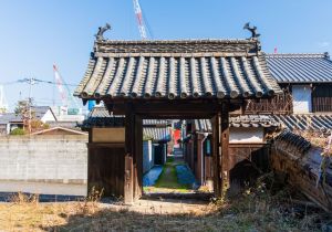 DSC07513-強化-NR