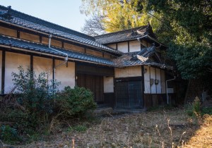 DSC07514