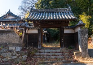 DSC07515-強化-NR