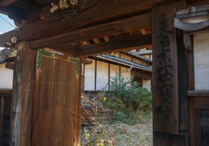 DSC07519-強化-NR