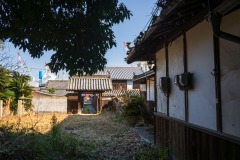 DSC07524-強化-NR