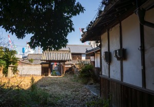DSC07524-強化-NR