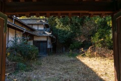 DSC07526-強化-NR