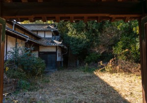 DSC07526-強化-NR