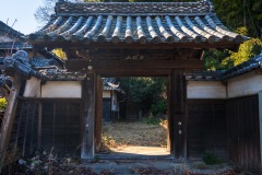 DSC07534