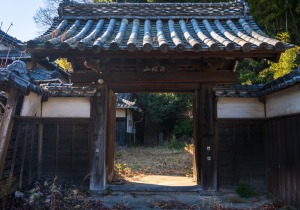 DSC07534