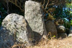 DSC09653