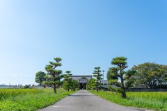 DSC07747