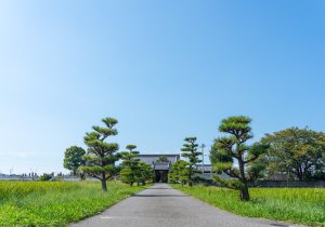 DSC07747