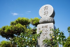 DSC07761