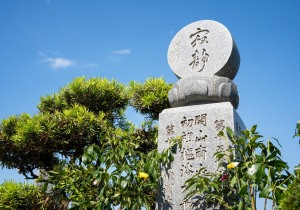 DSC07761