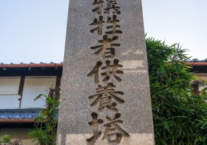 SBJ06465