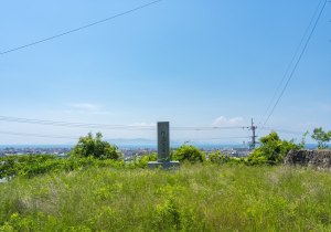 SBJ01147