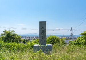 SBJ01148