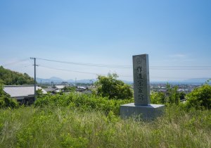 SBJ01149