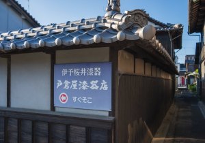 SBJ06733