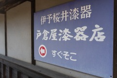 SBJ06734