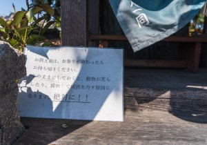 SBJ07193