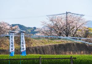 SBJ07206