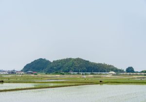 SBJ00664