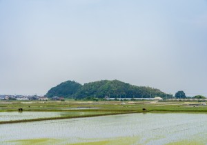 SBJ00665