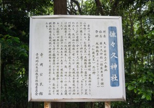 SBJ00684
