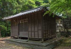 SBJ00695