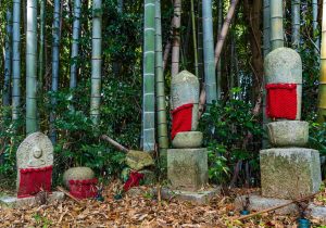 SBJ05179
