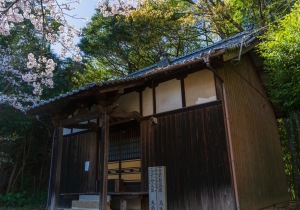 SBJ06963