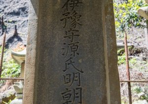 1_SBJ08920