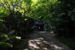 DSC04575