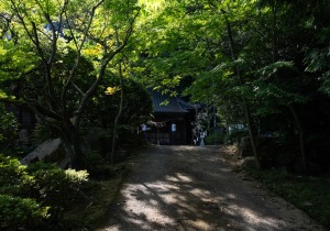 DSC04575