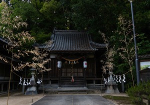 DSC04593