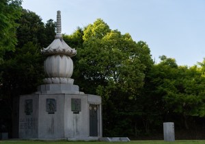 DSC04601
