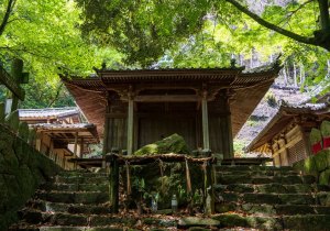 SBJ08881