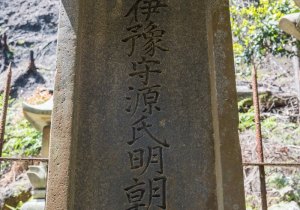 SBJ08920