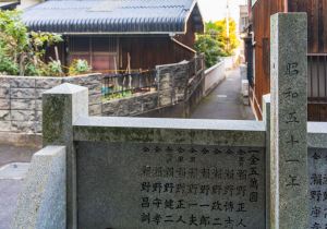 SBJ00493