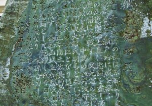 SBJ00506